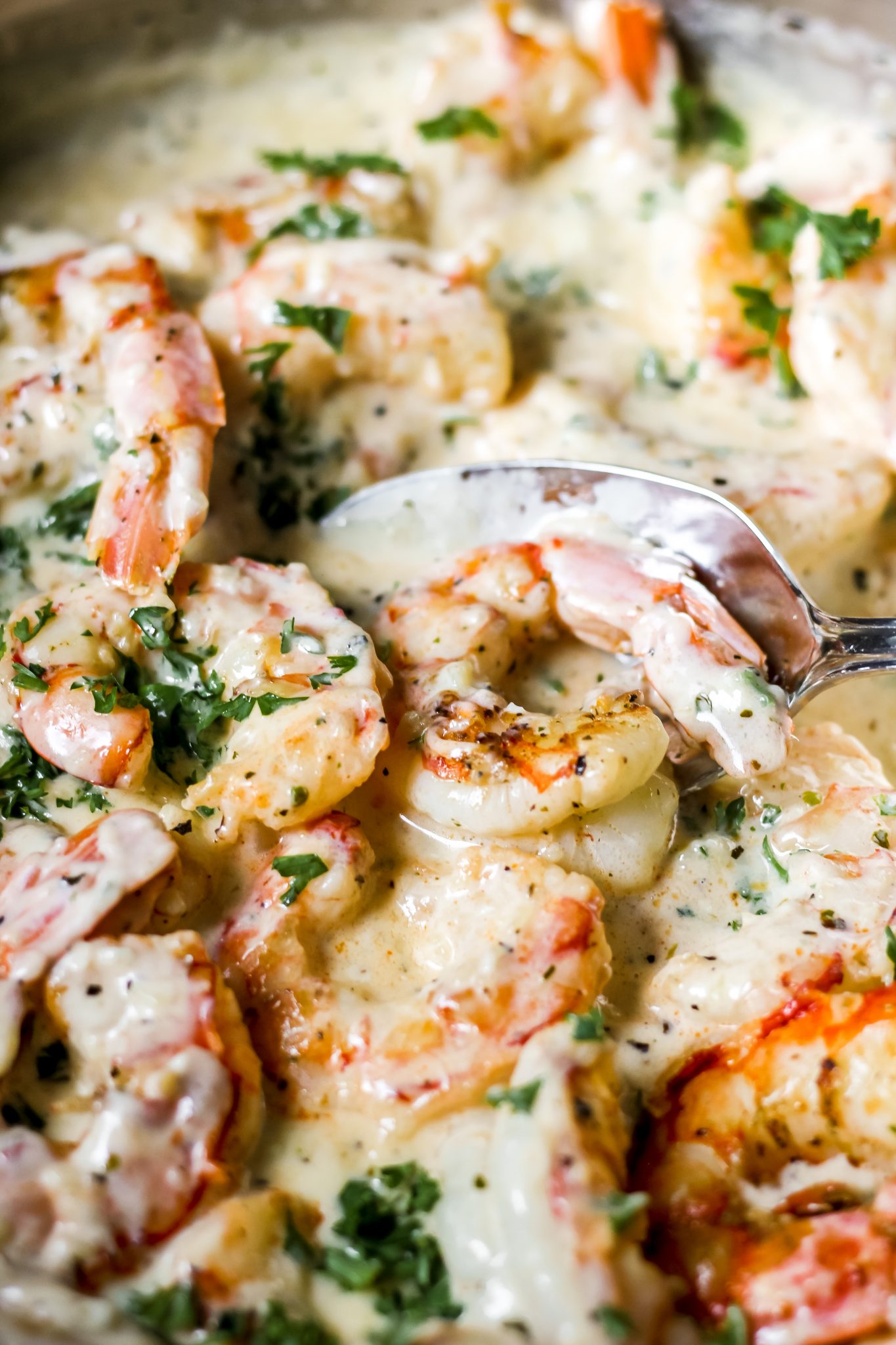 Creamy Garlic Parmesan Shrimp (Low Carb/Keto Friendly) - The Seasoned ...