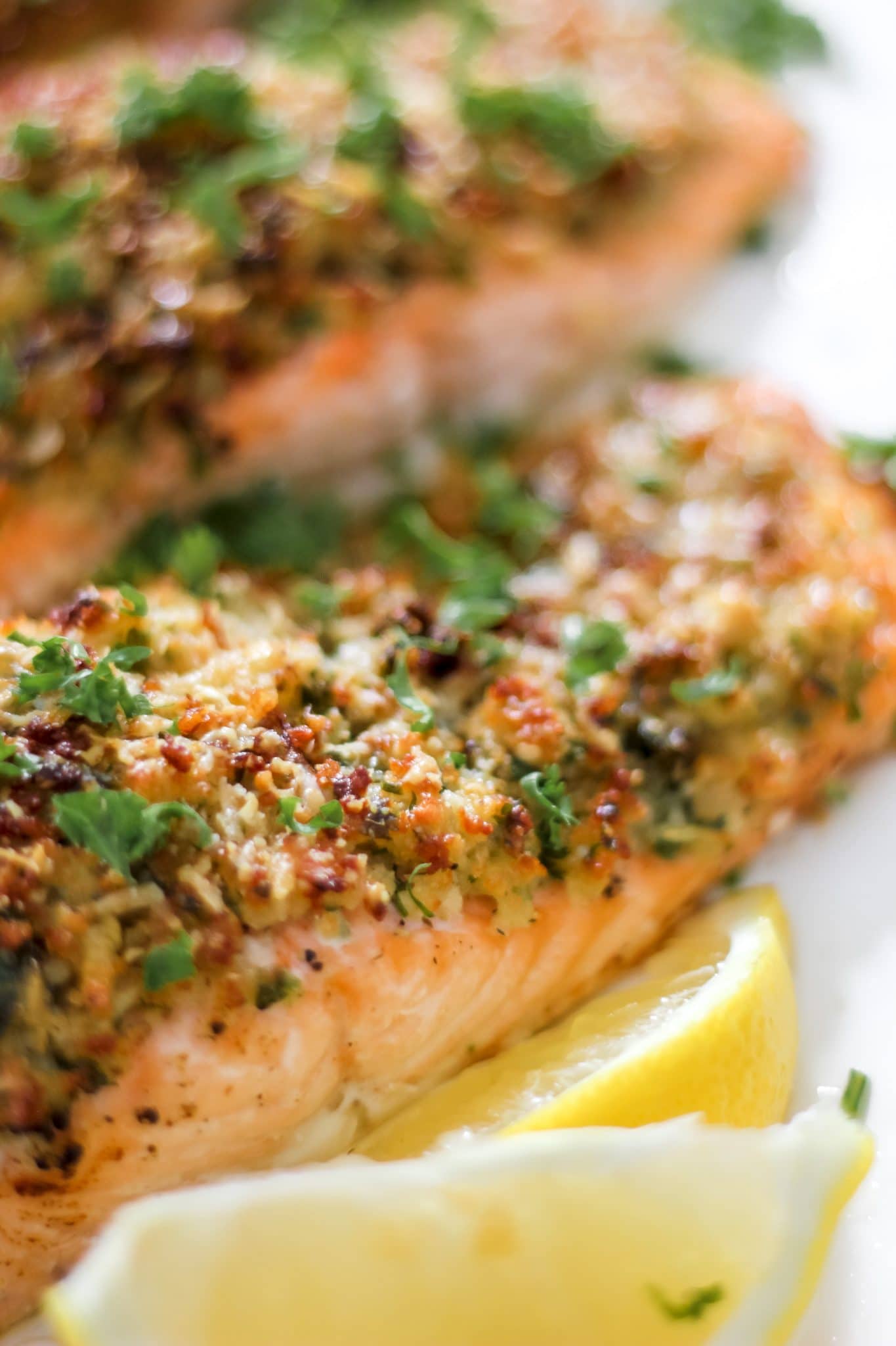 Parmesan Herb Crusted Salmon - The Seasoned Skillet