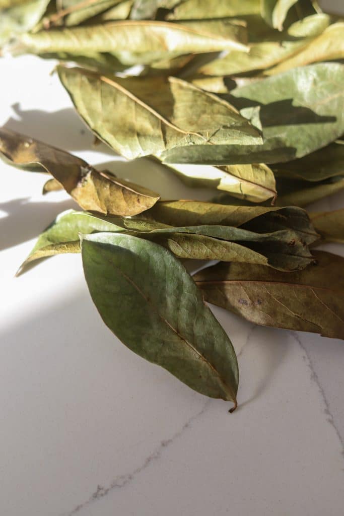soursop leaves on counter.