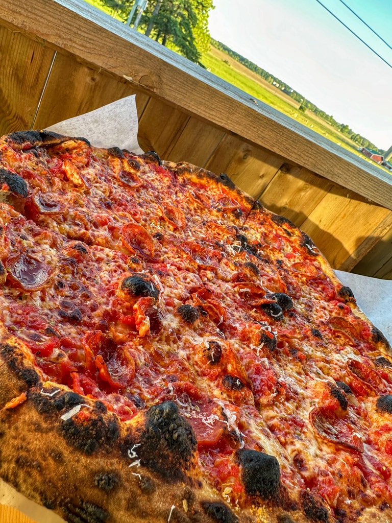 crispy pizza with a view of Prince Edward County in the background