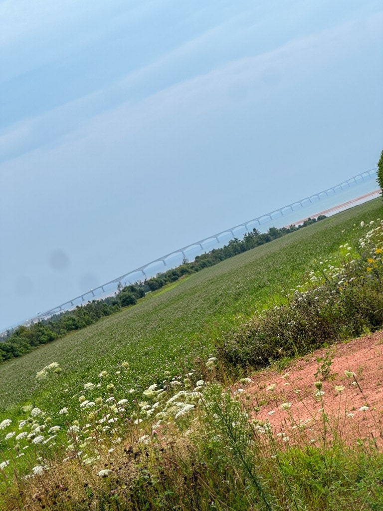 view of confederation bridge.