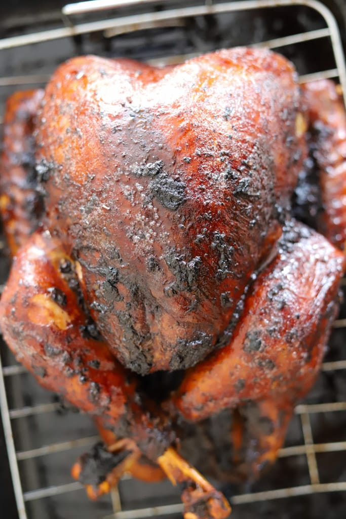 close up view of roasted turkey